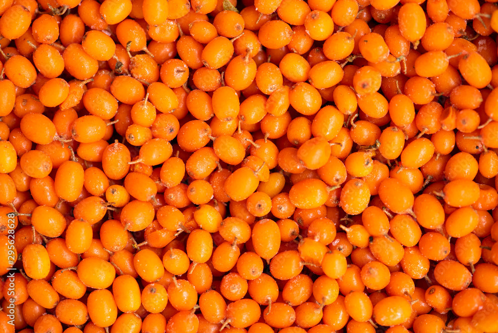 Sea Buckthorn