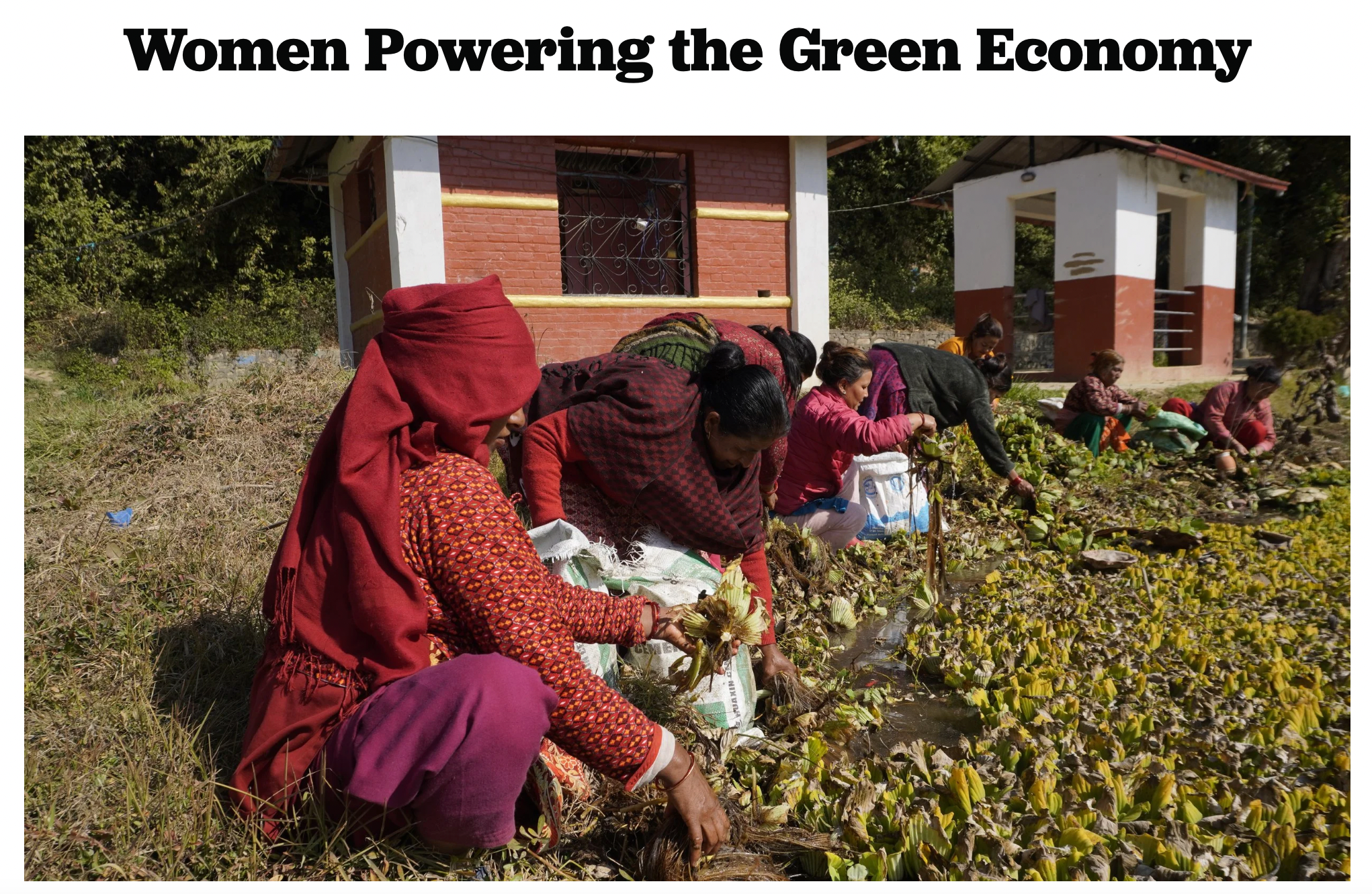 Great news! Lhamour featured in international press again.