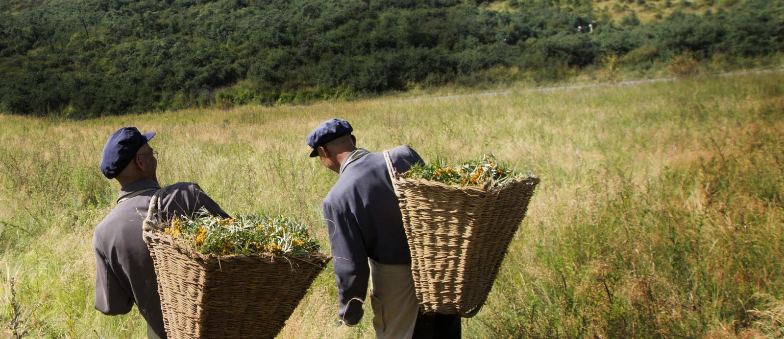 Sustainable Sourcing