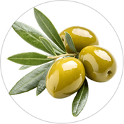 Olive Fruit Oil